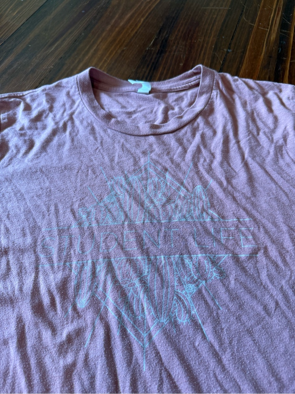Student Life Crewneck Graphic T-Shirt in Dusty Pink